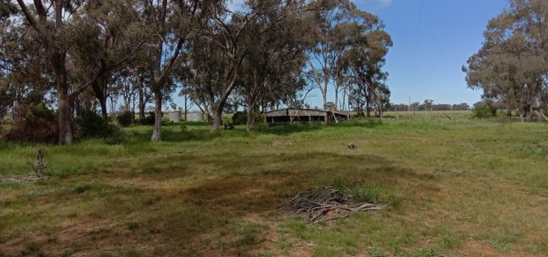Click to view all images 2385 Katamatite-Shepparton Main Road Marungi VIC 3634 - Image 1