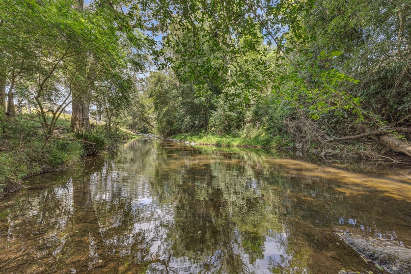 Click to view all images 1730 Toms Creek Road Toms Creek NSW 2446 - Image 3