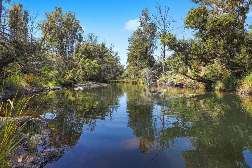 Click to view all images 11 Roach Road Pappinbarra NSW 2446 - Image 3