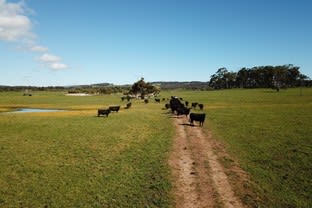 Click to view all images Lot 11 Freeborough Road Youngs Siding WA 6330 - Image 2
