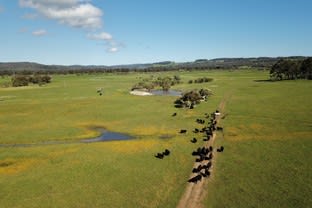Click to view all images Lot 11 Freeborough Road Youngs Siding WA 6330 - Image 3