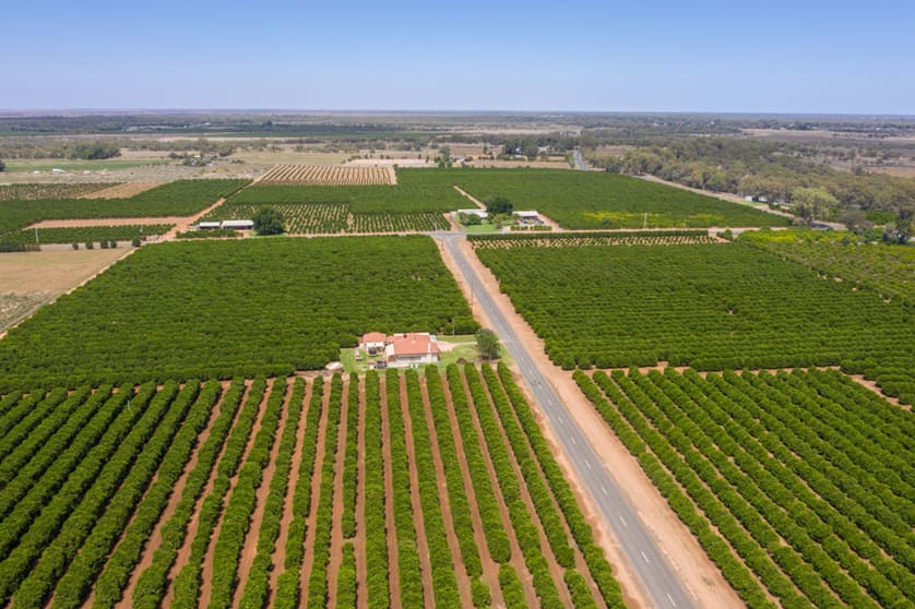 Click to view all images 310 Delta Road Curlwaa NSW 2648 - Image 1