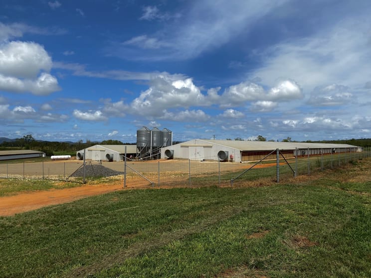 Click to view all images Arriga QLD 4880 - Image 2