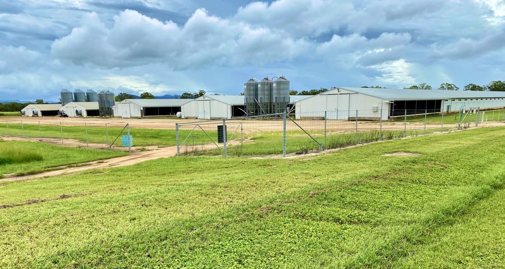 Click to view all images 90 North Walsh Road Arriga QLD 4880 - Image 2