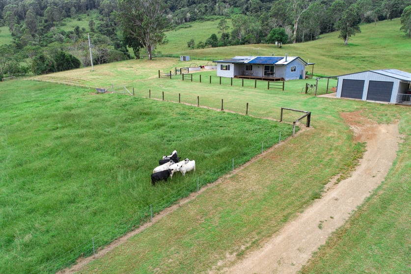 Click to view all images 89 McMillans Road Toms Creek NSW 2446 - Image 2