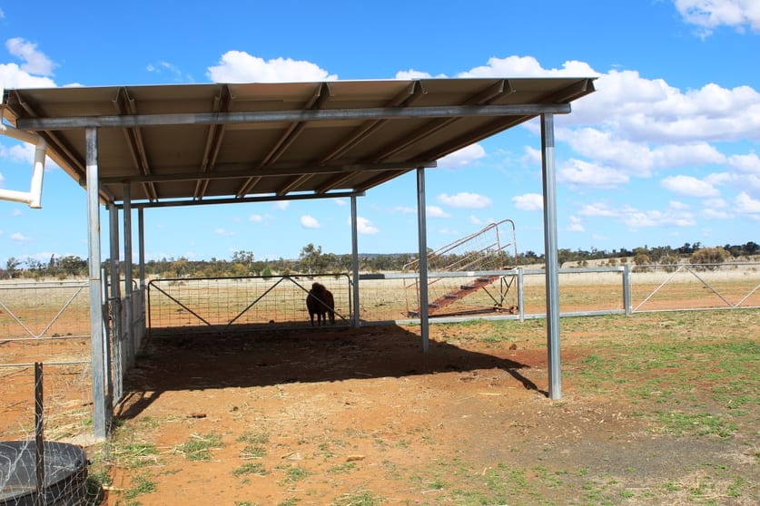 Click to view all images 32 Daisybank Road Roma QLD 4455 - Image 3