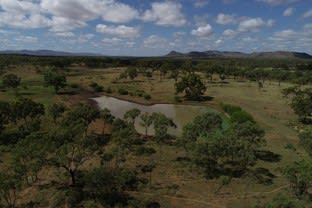Click to view all images 4625 Normanby Road Collinsville QLD 4804 - Image 3