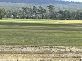 Click to view all images 30900 Burnett Highway Three Moon QLD 4630 - Image 2