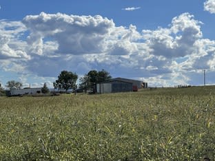 Click to view all images 30900 Burnett Highway Three Moon QLD 4630 - Image 3