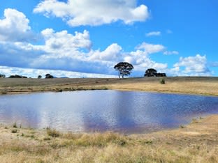 180 Crags Road, Nerriga Braidwood NSW 2622 - Image 1