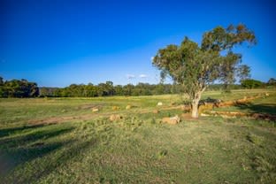 Click to view all images 86 Mcgilchrist Road Eudlo QLD 4554 - Image 2
