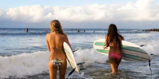 Click to view all images Import, Export & Wholesale business for sale in Gold Coast Greater Region QLD - Image 3