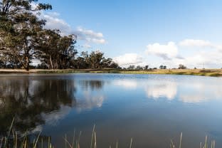 Click to view all images Young NSW 2594 - Image 2