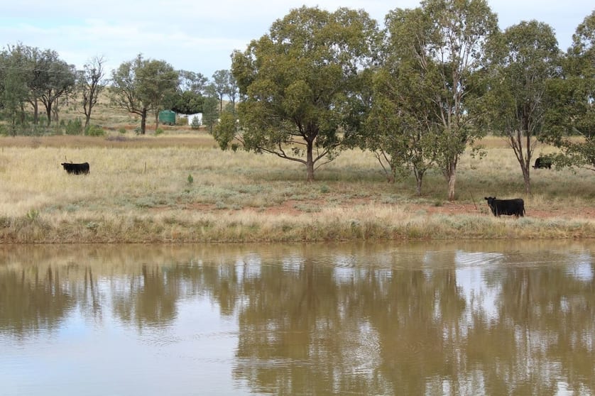 Click to view all images "Geebung" Gwydir Highway Gravesend NSW 2401 - Image 3