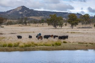 Click to view all images 1035 Bruxner Way Tenterfield NSW 2372 - Image 2