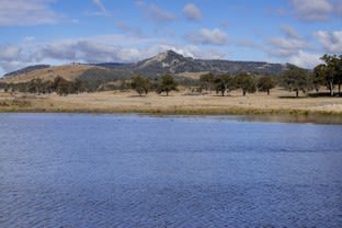 Click to view all images 1035 Bruxner Way Tenterfield NSW 2372 - Image 3