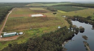 258 Greeuw Road Narrikup WA 6326 - Image 1