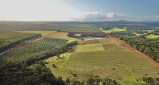 258 Greeuw Road Narrikup WA 6326 - Image 3