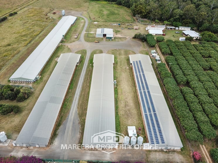 Click to view all images 1004 Bilwon Road Biboohra QLD 4880 - Image 1