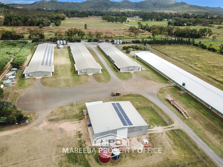 Click to view all images 1004 Bilwon Road Biboohra QLD 4880 - Image 3