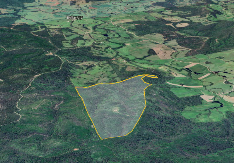 Lot 1/441676 Lower Twenty Four Road Bellangry NSW 2446 - Image 1