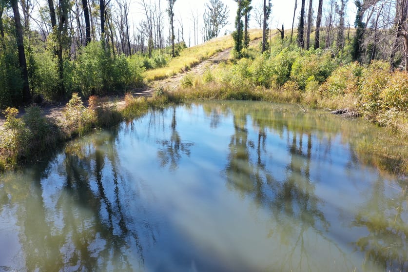 Lot 1/441676 Lower Twenty Four Road Bellangry NSW 2446 - Image 2