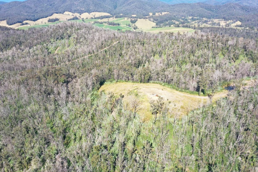 Lot 1/441676 Lower Twenty Four Road Bellangry NSW 2446 - Image 3