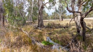 Click to view all images "Minbalup" New England Gully Road Tamworth NSW 2340 - Image 3