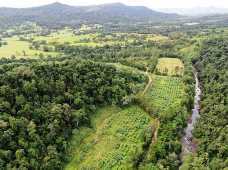 73 Brodies Road Mount Charlton QLD 4741 - Image 2