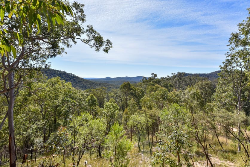 Lot 16 Rocky Creek Road Wollombi NSW 2325 - Image 2