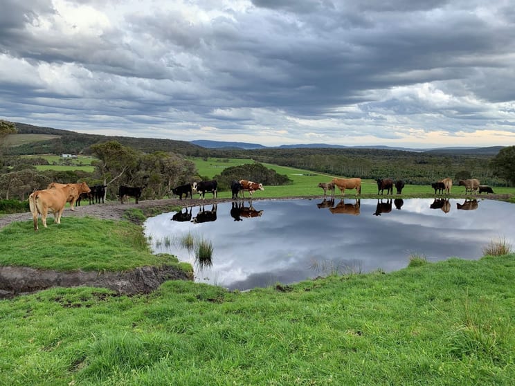 Lot 2 Mount Richard Road Kalgan WA 6330 - Image 1