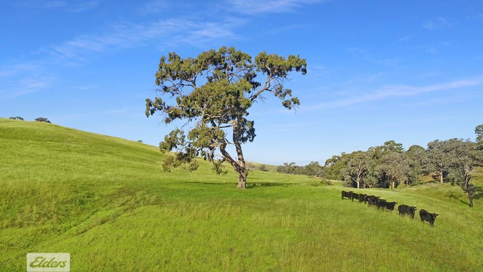 Click to view all images 1483 Licola Road Glenmaggie VIC 3858 - Image 2
