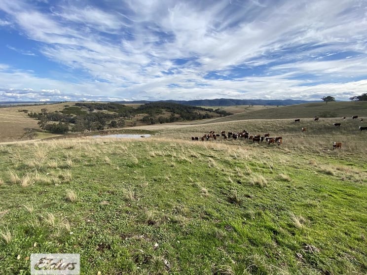 Click to view all images 1483 Licola Road Glenmaggie VIC 3858 - Image 1