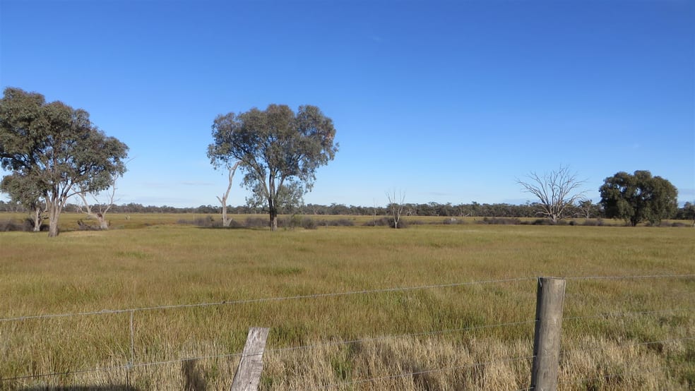 Click to view all images 3739 Loddon Valley Highway Kerang VIC 3579 - Image 3