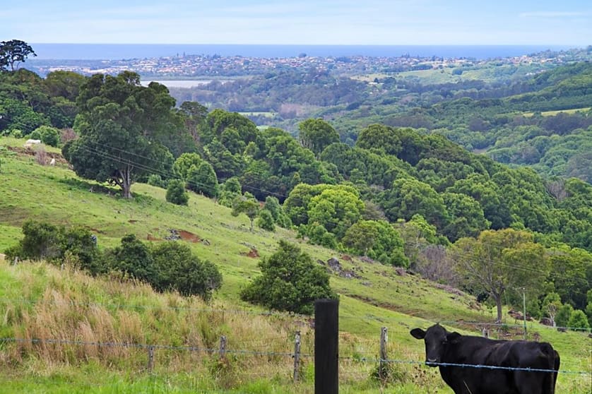 Click to view all images 35 Cougal Road Carool NSW 2486 - Image 2