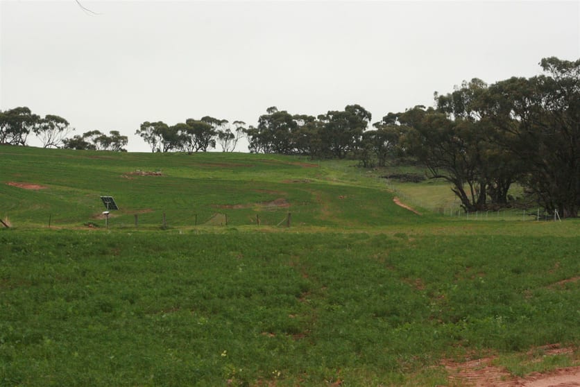 Katrine WA 6401 - Image 2