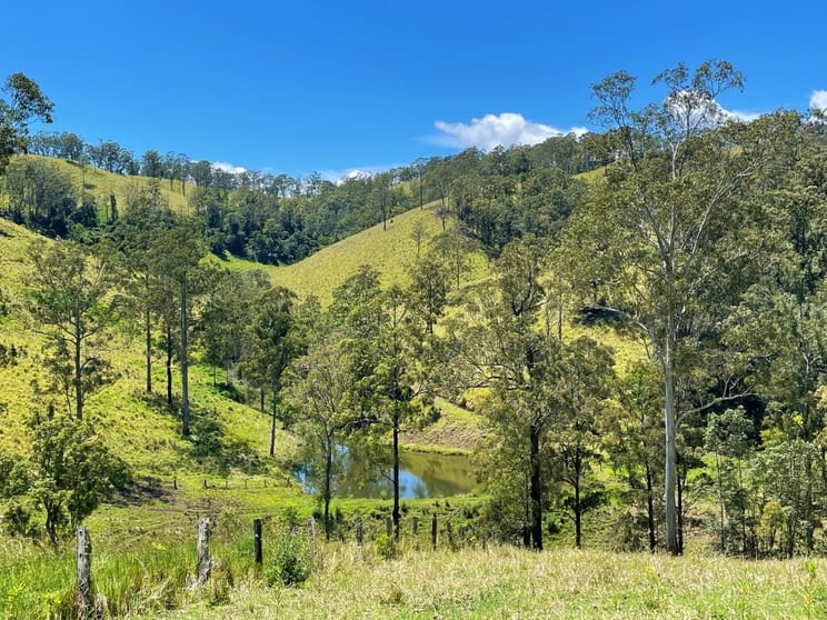 59 Wyndham Road Wyneden NSW 2474 - Image 3