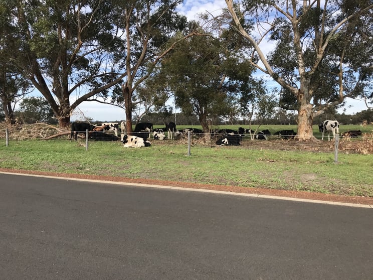 216 Ambergate Road Ambergate WA 6280 - Image 3