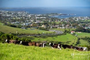 Click to view all images 164a Princes Highway Kiama Heights NSW 2533 - Image 1