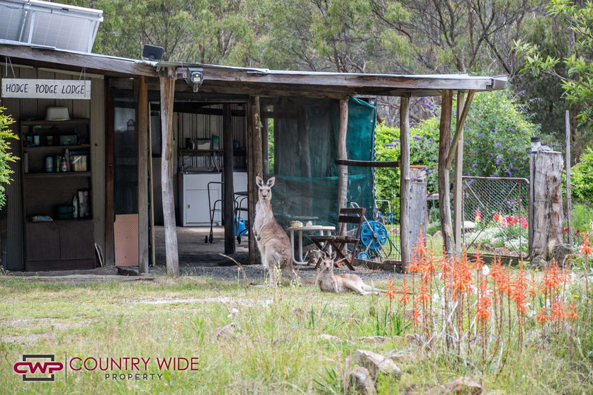 2, 1941 Emmaville Road Glen Innes NSW 2370 - Image 2