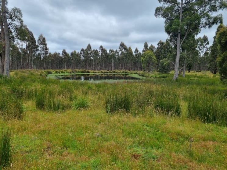 1652 Dennistoun Road Bothwell TAS 7030 - Image 1