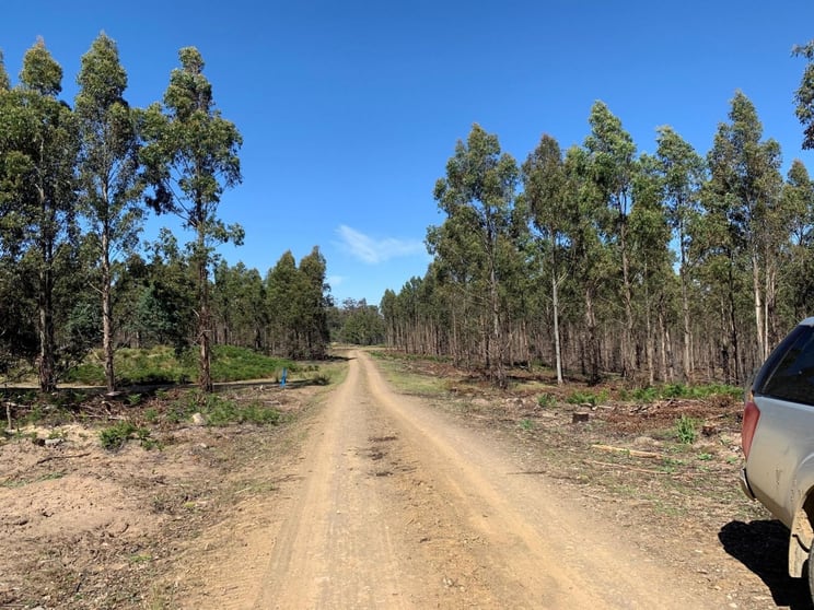 1652 Dennistoun Road Bothwell TAS 7030 - Image 2