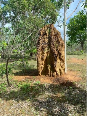 Click to view all images 205 Haynes Road Adelaide River NT 0846 - Image 3