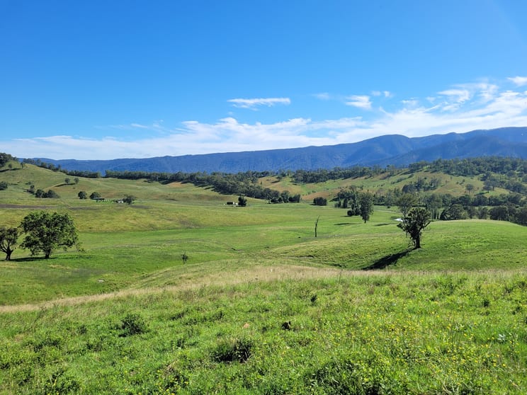 Click to view all images 552 Neringla Road Neringla NSW 2622 - Image 1