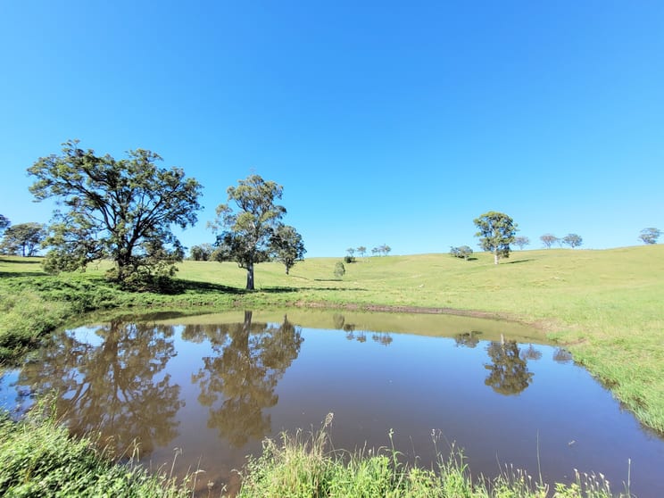 Click to view all images 552 Neringla Road Neringla NSW 2622 - Image 3