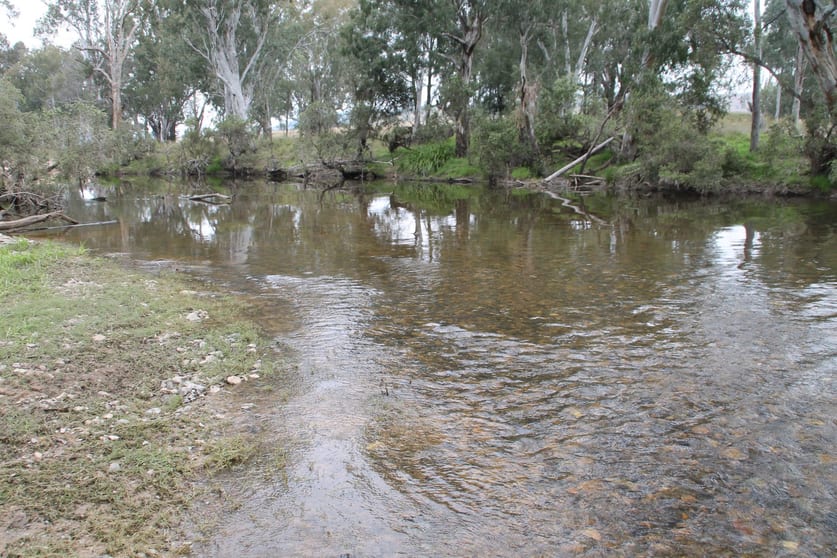 Click to view all images Lots 19 & 20 Gibraltar Station Road Tenterfield NSW 2372 - Image 2