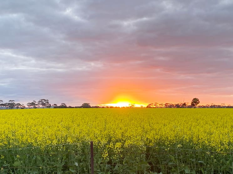 Click to view all images 405 Linfern Road, Buckingham Via Mundulla SA 5270 - Image 2