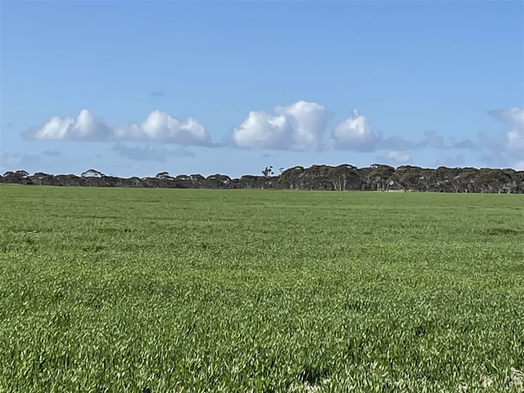 Click to view all images 726 Lake Bryde Road Pingrup WA 6343 - Image 3