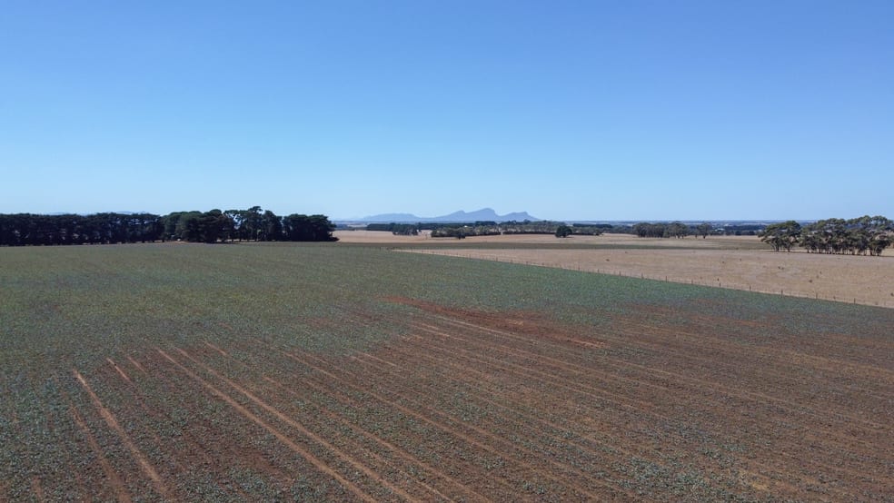 Click to view all images 99 Yatchaw Road Tarrington VIC 3301 - Image 2