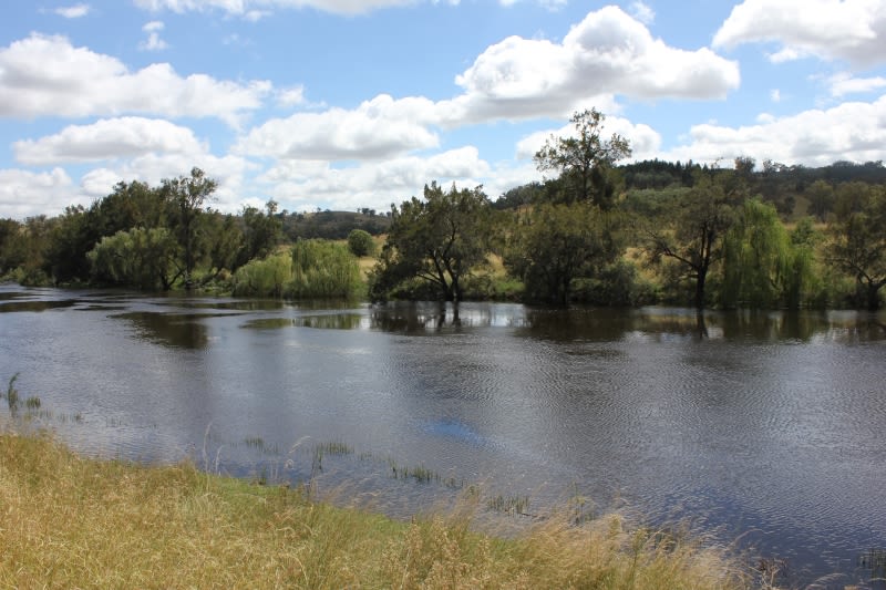 Click to view all images 'Fernlee' 557 Pindari Dam Rd Ashford NSW 2361 - Image 1
